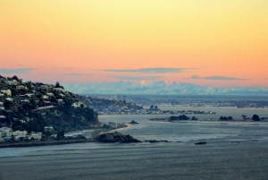 Christchurch: Half-Day Crater Rim Walk with Local Guide