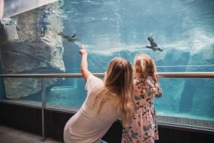 Biglietti d'ingresso per il Christchurch International Antarctic Centre