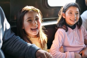 Biglietti d'ingresso per il Christchurch International Antarctic Centre