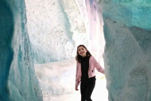 Biglietti d'ingresso per il Christchurch International Antarctic Centre