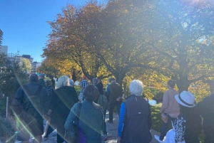 Christchurch: Kai Bites byvandring med frokost