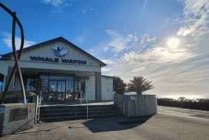 Christchurch : excursion d'une journée à Kaikoura avec prise en charge à l'hôtel