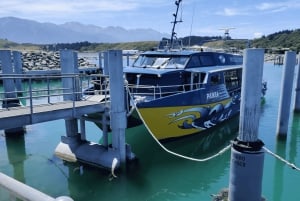 Christchurch : excursion d'une journée à Kaikoura avec prise en charge à l'hôtel