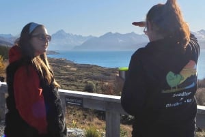 Christchurch: Mt Cook & Tekapo Small-Group Tour (incl Lunch)