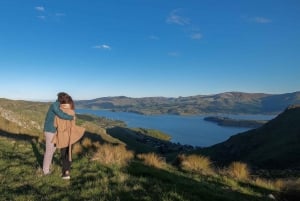 Christchurch: Packhorse Hut Guided Walk and Scenic Drive