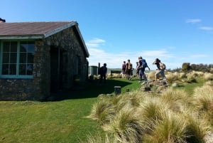 Christchurch: Packhorse Hut Guided Walk and Scenic Drive