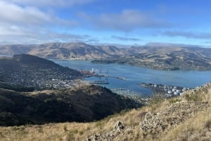 Christchurch: Port Hillsin koko päivän kestävä polkujuoksuretki