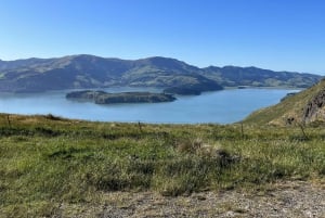 Christchurch: Port Hillsin koko päivän kestävä polkujuoksuretki