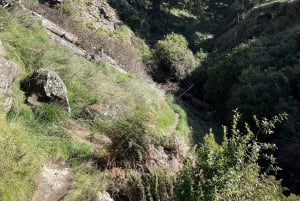 Christchurch: Port Hillsin koko päivän kestävä polkujuoksuretki