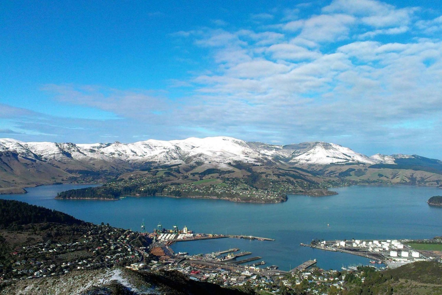 Christchurch: Private City Day Tour