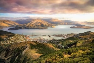 Christchurch: Privétour van een dag door de stad