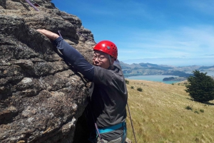 Christchurch: Rock Climbing with Guide, Lunch, and Transport