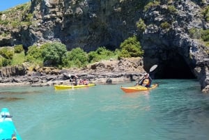 Sea Kayaking Tour form Christchurch (Lyttelton)