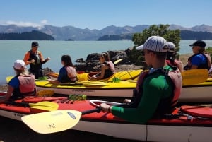 Christchurch: Sea Kayaking Tour of Lyttelton Harbour