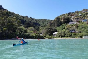 Christchurch: Sea Kayaking Tour of Lyttelton Harbour