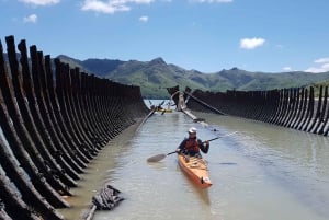 Christchurch: Sea Kayaking Tour of Lyttelton Harbour