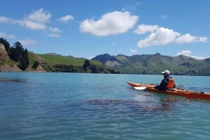 Christchurch: Sea Kayaking Tour of Lyttelton Harbour