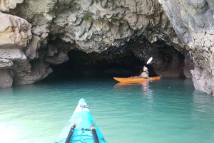 Christchurch: Sea Kayaking Tour of Lyttelton Harbour