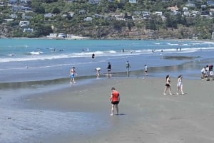 Christchurch Sightseeing & Lyttelton Harbour Tour