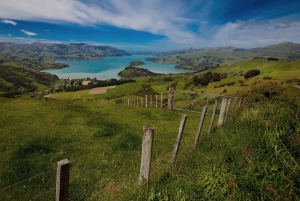 Von Christchurch nach Akaroa: Private Tagestour