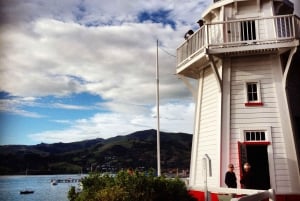 Von Christchurch nach Akaroa: Private Tagestour