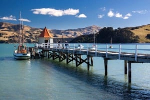 Von Christchurch nach Akaroa: Private Tagestour