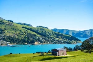 Von Christchurch nach Akaroa: Private Tagestour