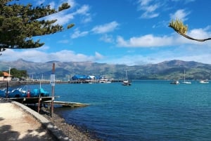 Von Christchurch nach Akaroa: Private Tagestour