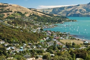 Von Christchurch nach Akaroa: Private Tagestour