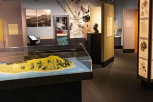 Von Christchurch nach Akaroa: Private Tagestour