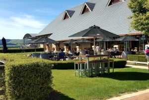 Visite privée des vignobles de la vallée de Waipara, Christchurch