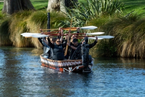 Christchurch: Waka Paddling Experience on the Avon River