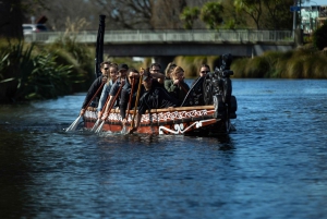 Christchurch: Waka Paddling Experience on the Avon River