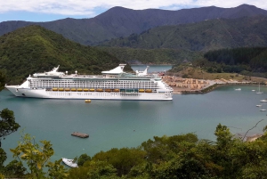 Cruise Ship Excursion ex Lyttelton: Wine & Lunch Experience