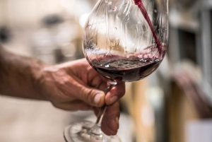 Cruise Ship Excursion ex Lyttelton: Wine & Lunch Experience