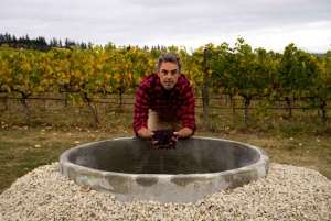 Cruise Ship Excursion ex Lyttelton: Wine & Lunch Experience