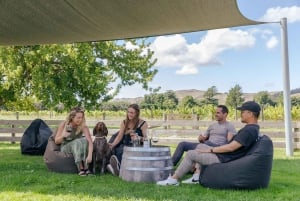 Cruise Ship Excursion ex Lyttelton: Wine & Lunch Experience