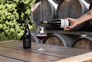 Cruise Ship Excursion ex Lyttelton: Wine & Lunch Experience