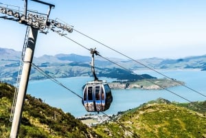 Discover Christchurch Tour with Lunch