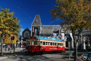 Discover Christchurch Tour with Lunch
