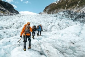 From Christchurch: 1 Way Tour to Franz Josef via Hokitika