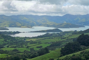 From Christchurch: Akaroa Day Tour with Optional Cruise