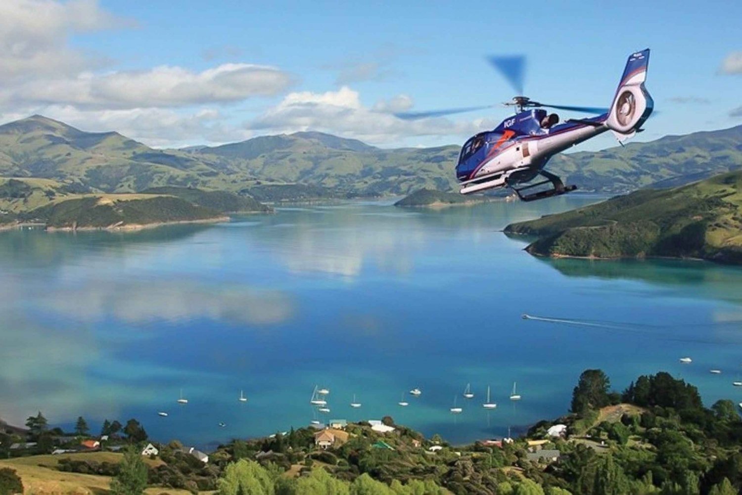 Best Day Tours From Christchurch