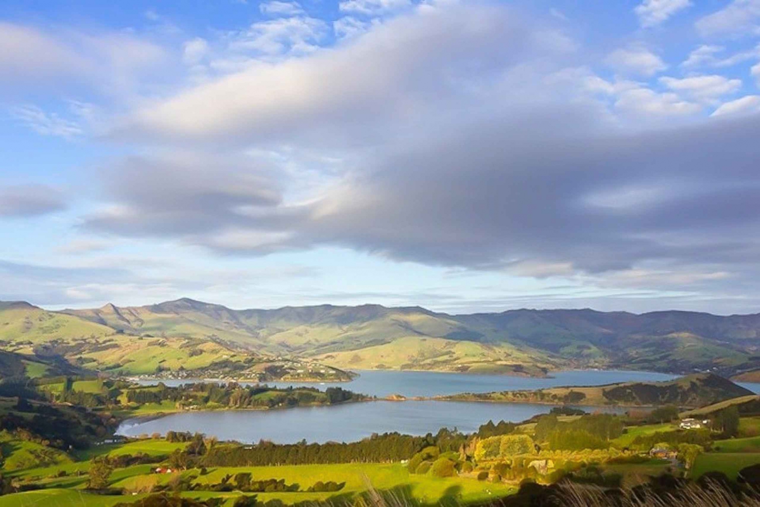 From Christchurch: Helicopter Flight to Akaroa