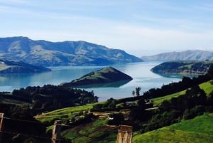 From Christchurch: Helicopter Flight to Akaroa