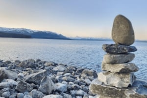 Från Christchurch: Mount Cook & Lake Tekapo – dagstur med lunch