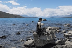 Från Christchurch: Mount Cook & Lake Tekapo – dagstur med lunch