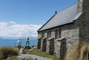 Från Christchurch: Mount Cook & Lake Tekapo – dagstur med lunch