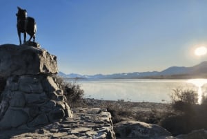 Från Christchurch: Mount Cook & Lake Tekapo – dagstur med lunch
