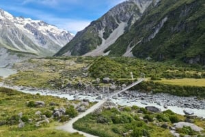 Från Christchurch: Mount Cook & Lake Tekapo – dagstur med lunch
